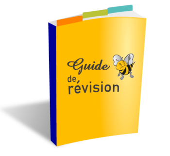 guiderevision